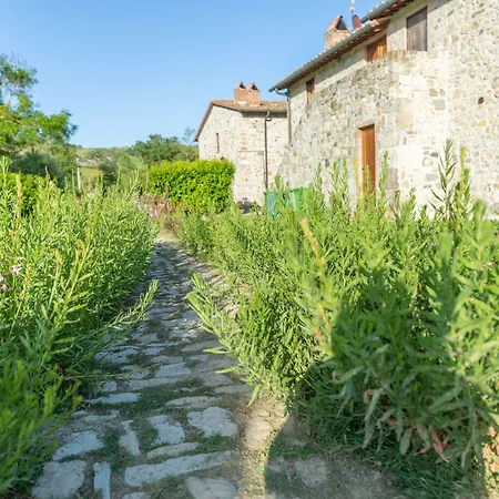 Agriturismo Podere San Giorgio-2